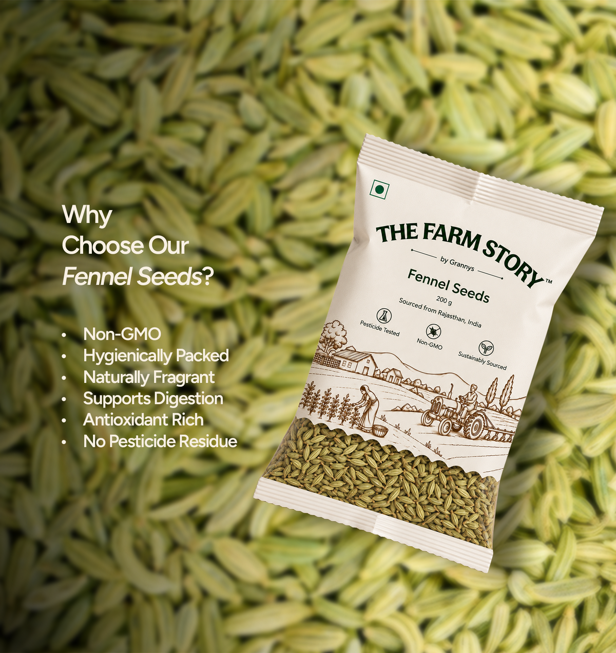 Fennel Seeds