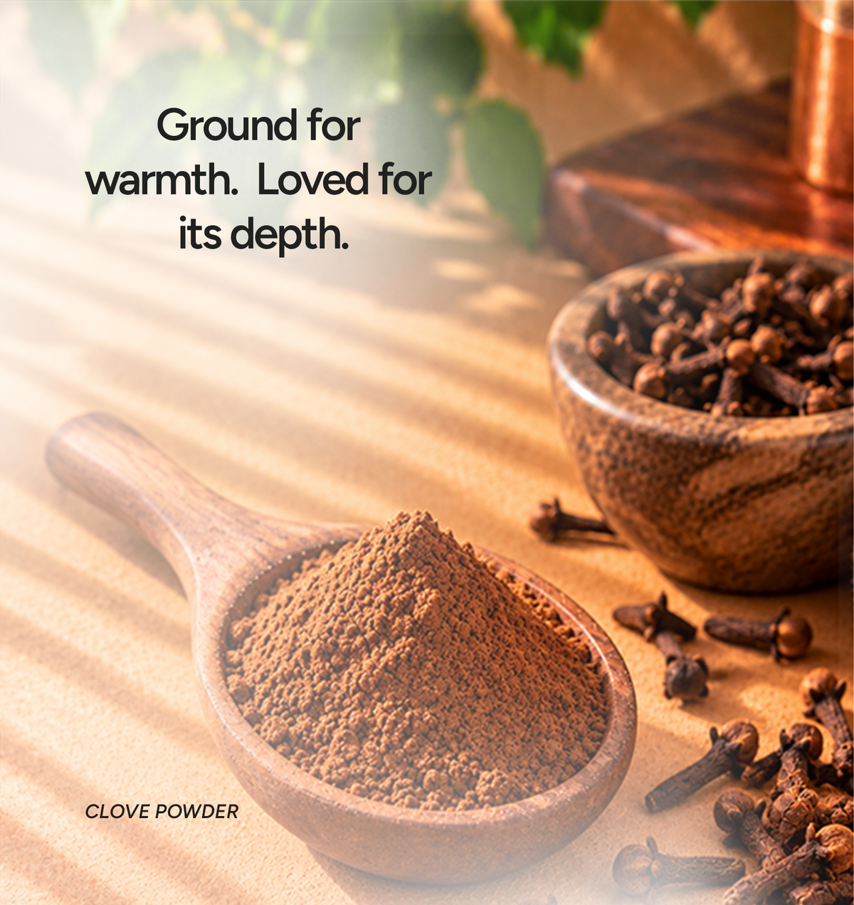 Clove Powder