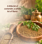 Coriander Seeds